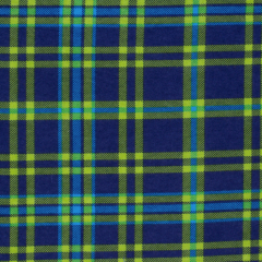 Green & Navy Plaid
