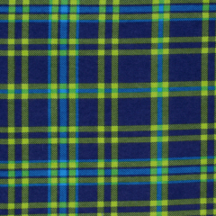 Green & Navy Plaid