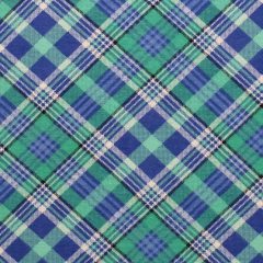 Blue Green Bias Plaid