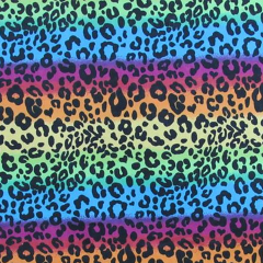 Rainbow Cheetah Print