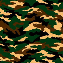 Camouflage