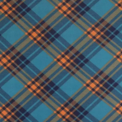 Teal & Orange Bias Plaid