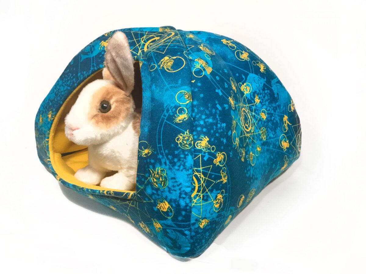 Astrology Blue Naptime Tent with rabbit model