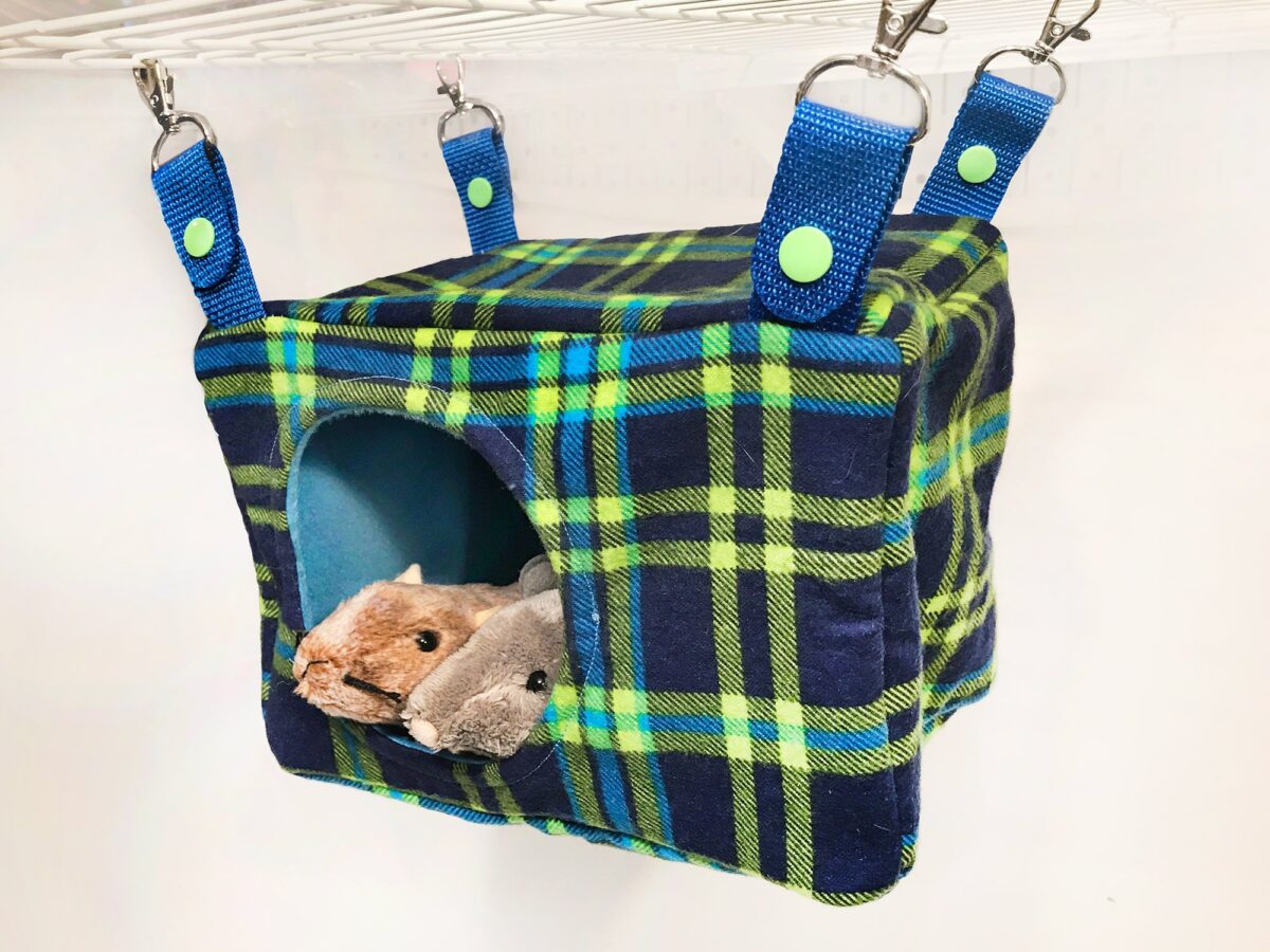 Buddy Box Blue & Lime Plaid