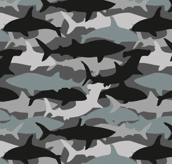 Deep Sea Sharks