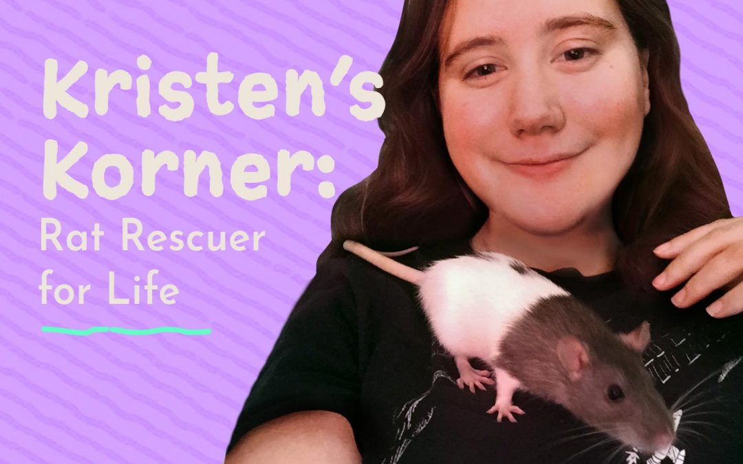 Kristen's Korner: Rat Rescuer for Life