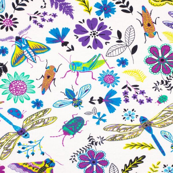 Moths & Butterflies