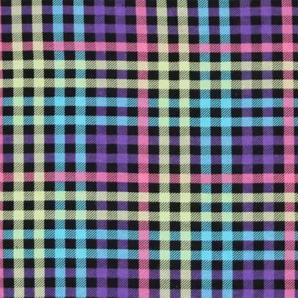 Neon Plaid On Black
