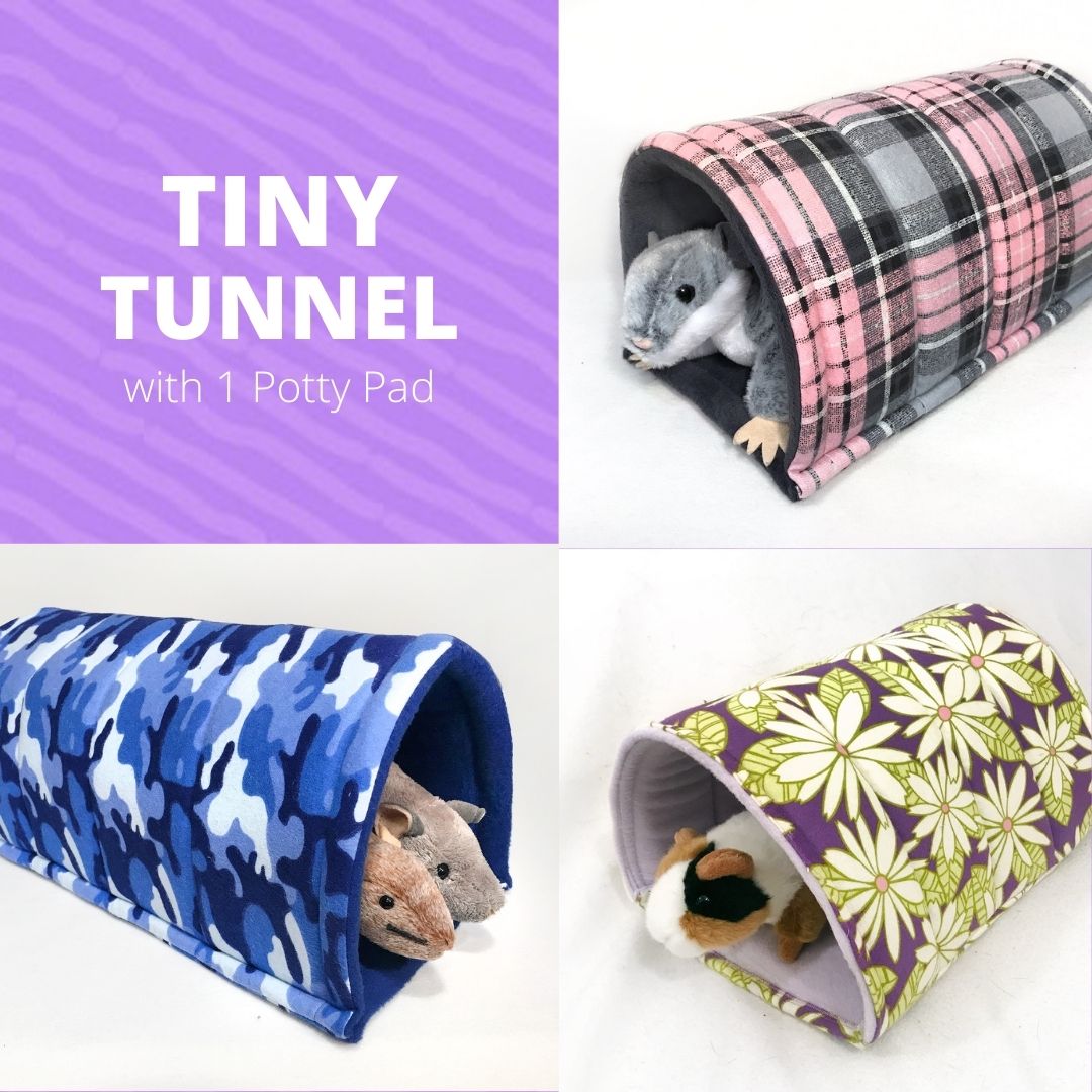Tiny Tunnel examples
