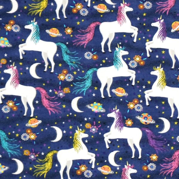 Unicorns In Space